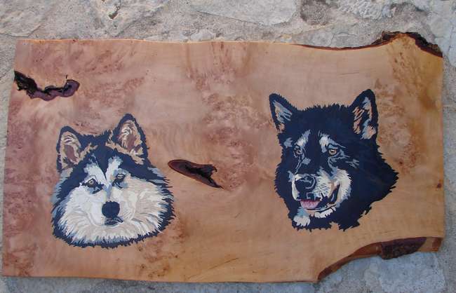 3D-Malamuts origine.jpg